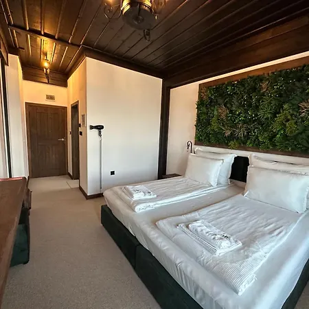 Hotel Leshten *